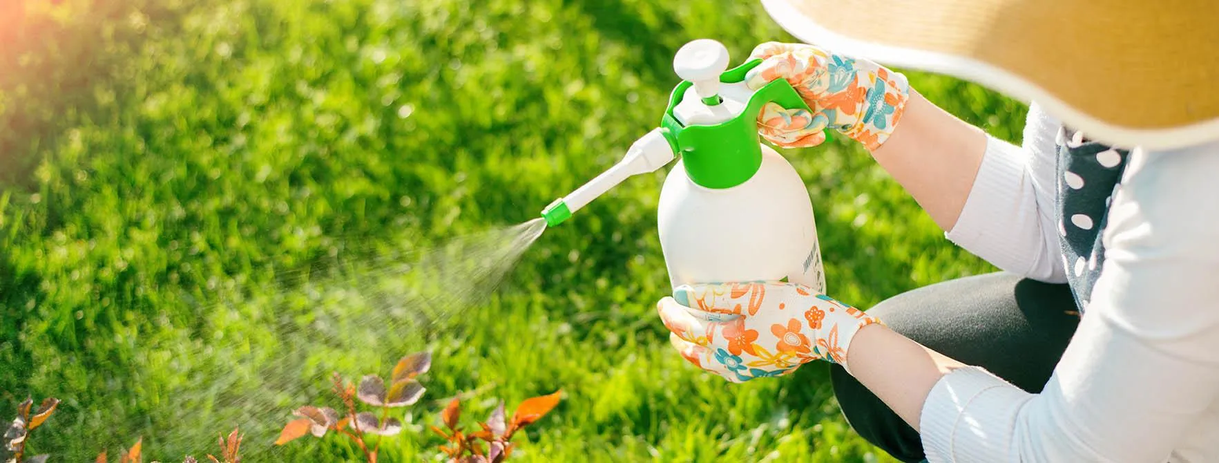 Eco-Friendly Pest Control Methods